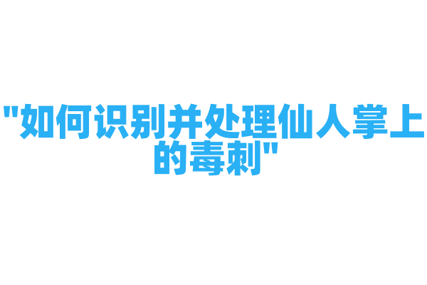 "如何识别并处理仙人掌上的毒刺"